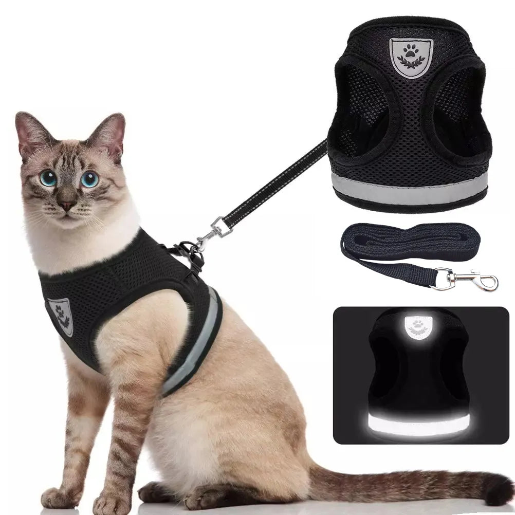 CAT CHEST COLLARCAT CHEST COLLAR