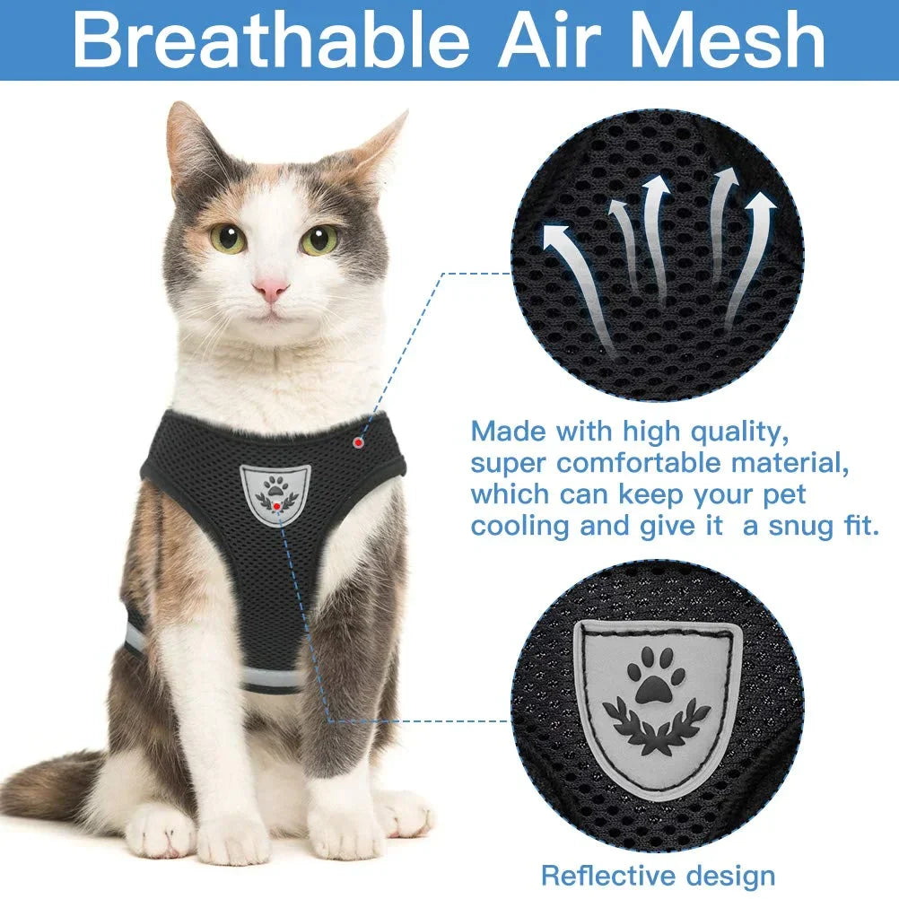 CAT CHEST COLLARCAT CHEST COLLAR