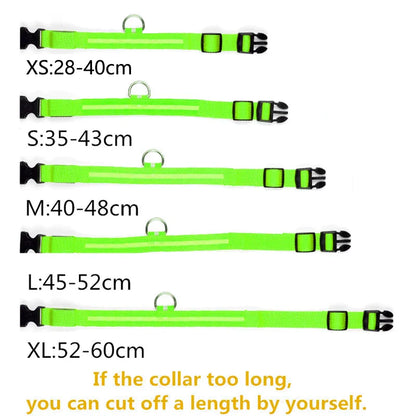 GLOW IN THE DARK COLLAR