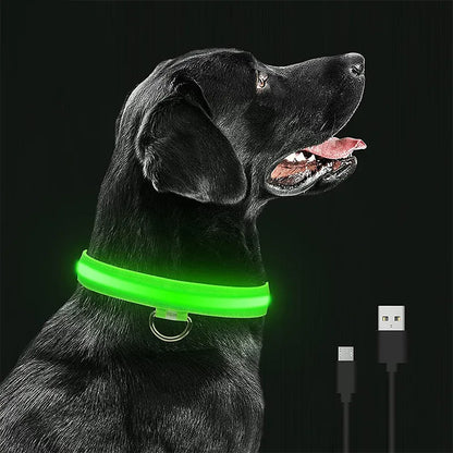 GLOW IN THE DARK COLLAR