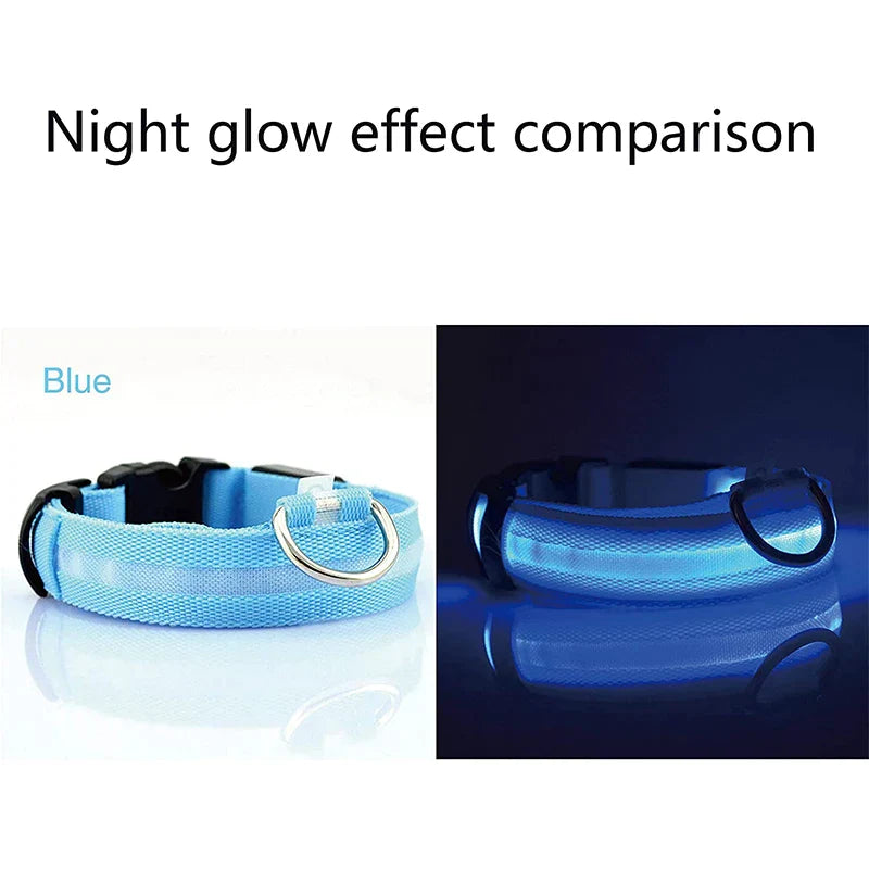 GLOW IN THE DARK COLLAR