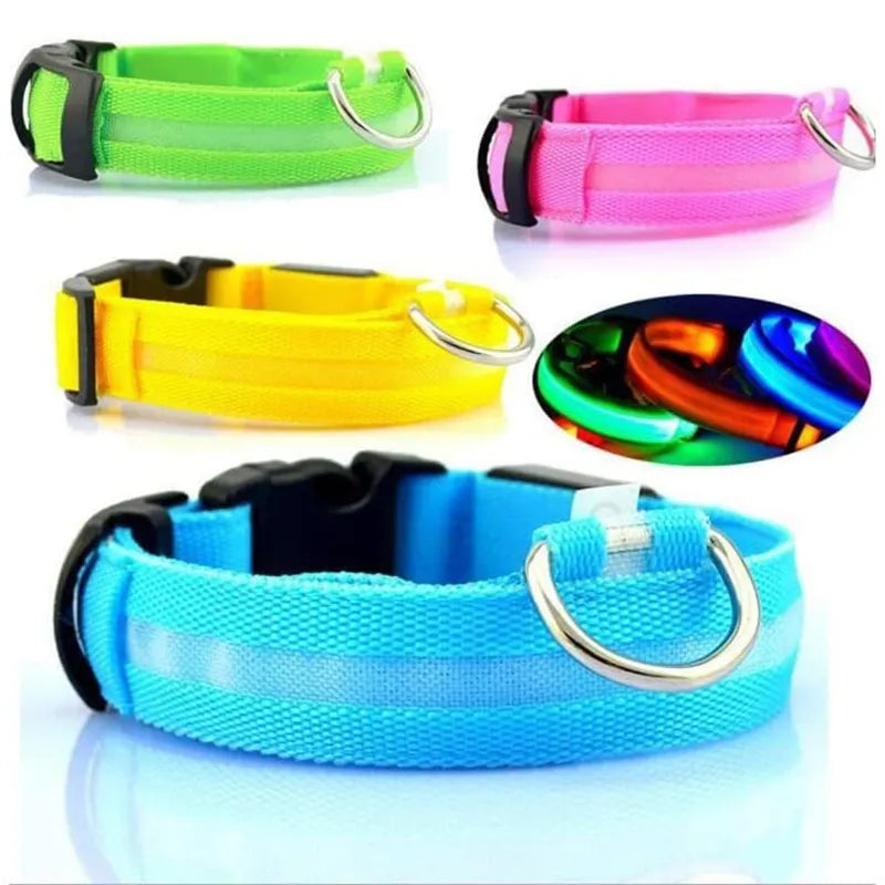 GLOW IN THE DARK COLLAR