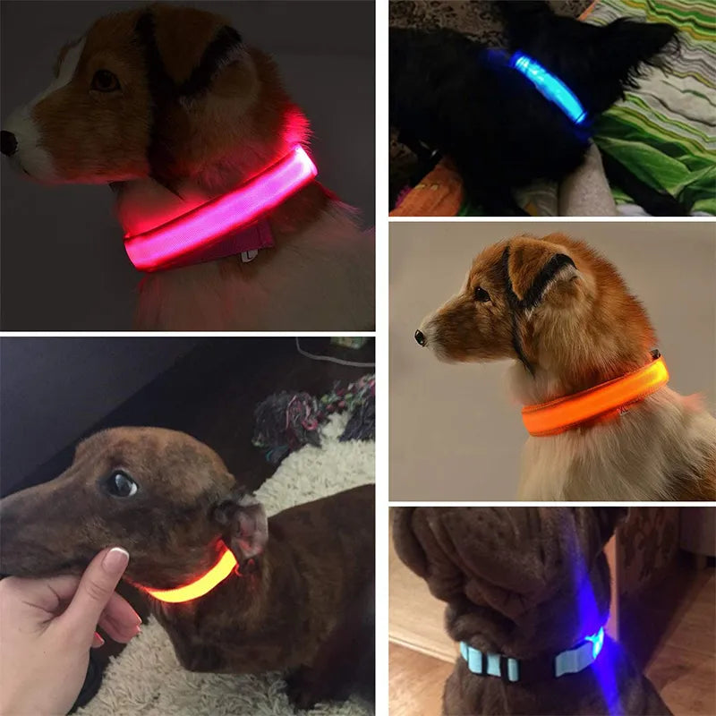 GLOW IN THE DARK COLLAR