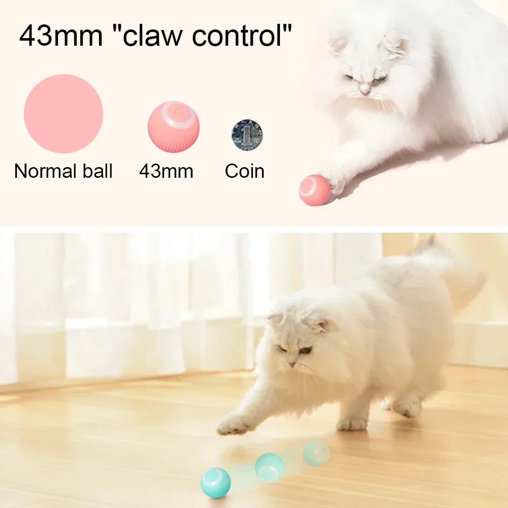 INTERACTIVE BALL