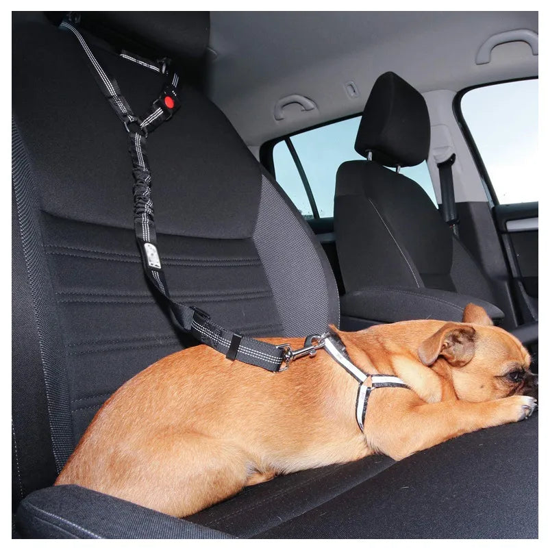 PET SEAT BELT