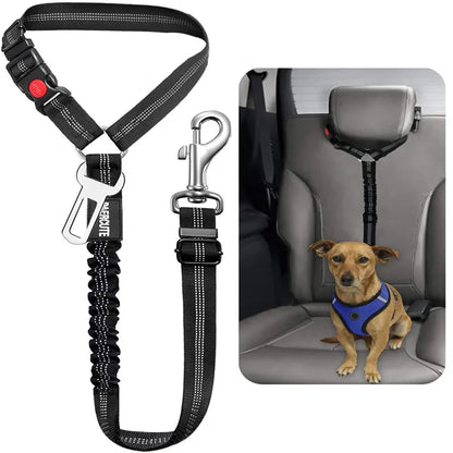 PET SEAT BELT